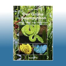 Der Grüne Baumpython | Markus