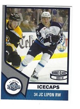 2013-14 St. John's IceCaps