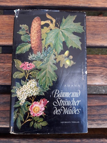 Bäume und sträucher - bäume,