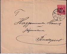 UNGARN 1911, 10 f rosarot