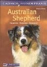 Australian shepherd - australian,
