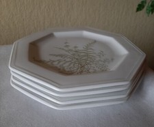 4x Gallo Leonardo Fougere