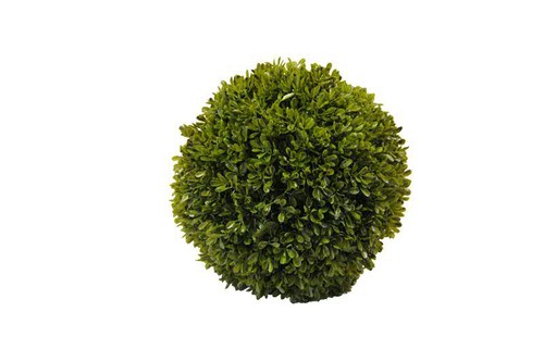 Buchsbaum kugel 25cm - kugel,