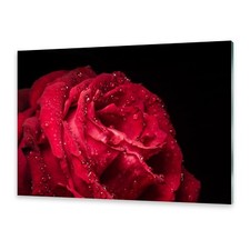Acrylglasbilder Wandbild aus