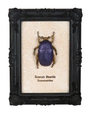 Schwarzer Gothic Bilderrahmen