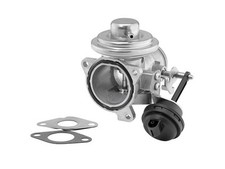 BorgWarner (Wahler) AGR Ventil