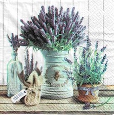 3-18 Lunch Servietten Basteln Sammeln Blumen Tiere Ostern  Elfen Natur Phantasie