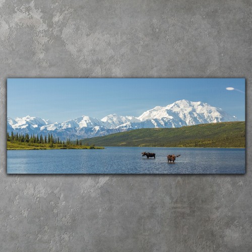 Canvas xxl wandbilder leinwand - xxl,