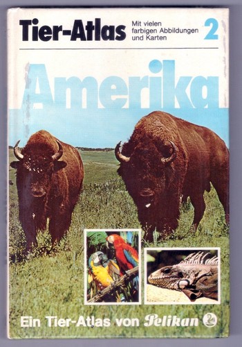 Tier atlas amerika pelikan - tier-atlas,