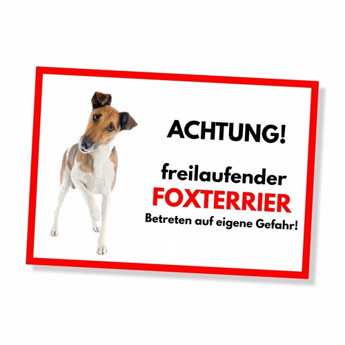 Foxterrier freilaufender hund - foxterrier,