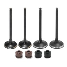 CRF 250 R 2008 2009 Einlassventil Auslassventil Dichtungen Set für HONDA CRF250R