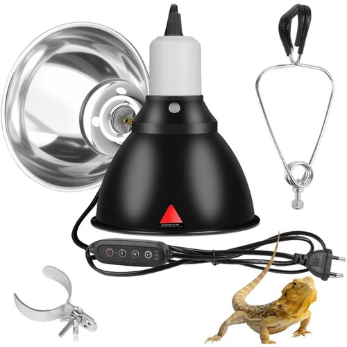 Reptile dome terrarium - dome,