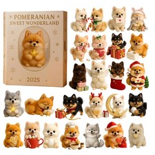 2025 pomeranian - 2025,
