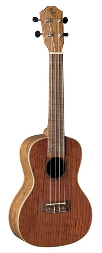 Konzert ukulele neu - konzert, ***neu***