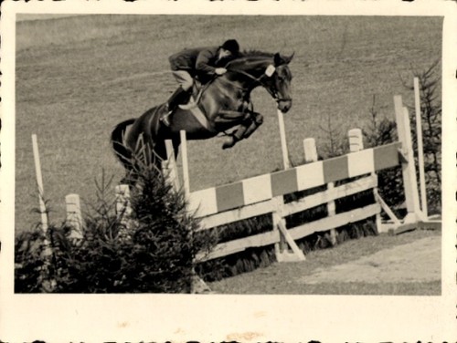 Foto reitturnier - foto,