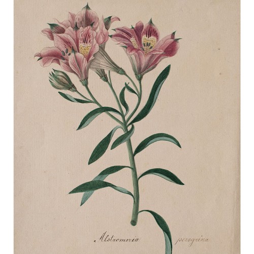 Johann nepomuk mayrhofer nach - johann,