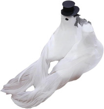 Weiße Tauben Modell 1 Paar