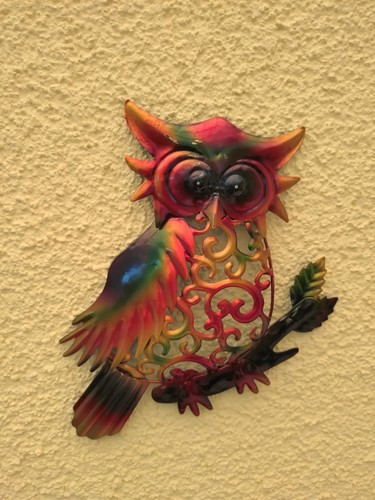 Eule wanddeko bunte - eule, –