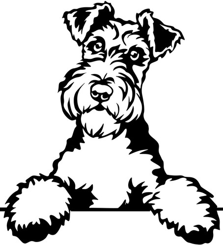 Foxterrier aufkleber - foxterrier,