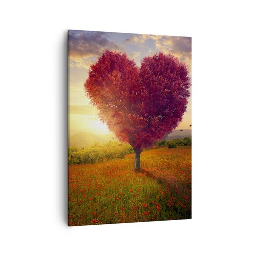 Wandbilder 50x70cm