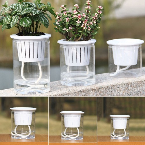 Transparent self watering - transparent, self-watering