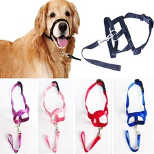 Kreativer Hundehalfter Nylon