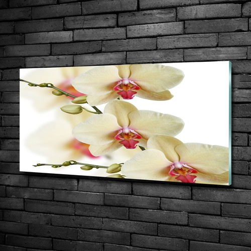Wandbild glas bild - wandbild, druck