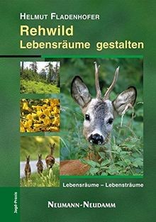 Rehwild lebensräume - rehwild,