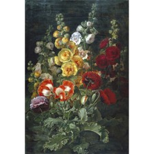 Poppies and hollyhocks j l - -,