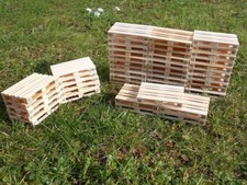 1:16 Moos - Echtholz