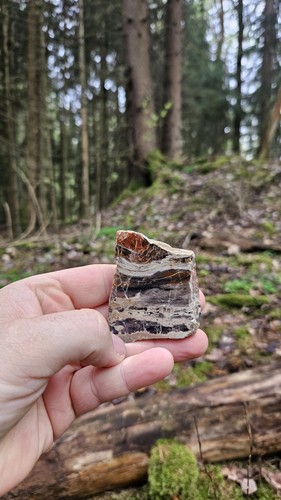 Mineral versteinertes holz - mineral,,