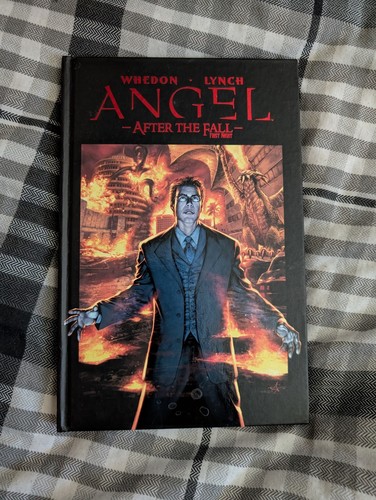 Angel after the fall - angel,