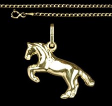 ECHT GOLD *** Pferd Anhänger