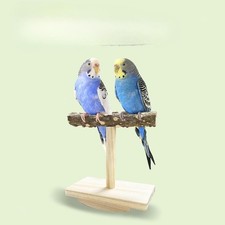 Vogel Barsch Spielzeug Papagei