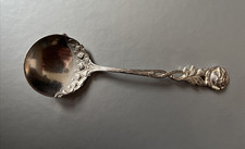 Hildesheimer Rose - Altes