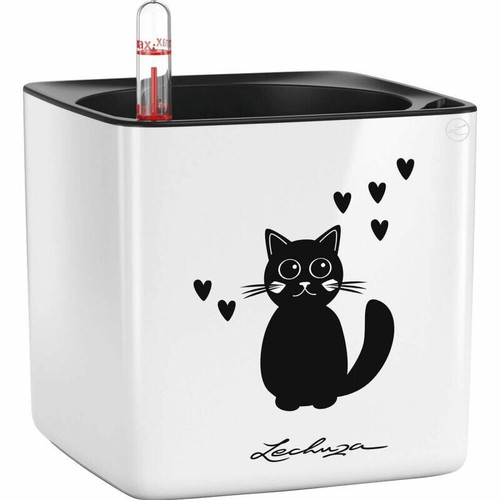Lechuza cube glossy cat - ,