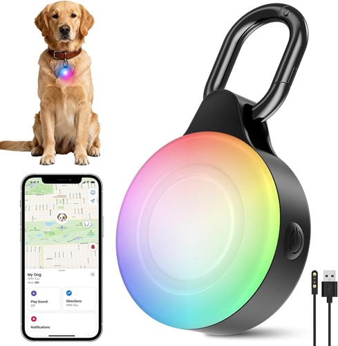 Hundelicht mit tracking - hundelicht,