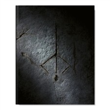 Bloodborne Complete Guide 25th