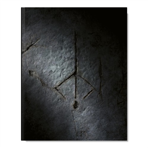 Bloodborne complete guide 25th - bloodborne,