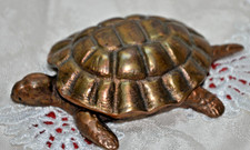 Tolle figur schildkröte hier - tolle,