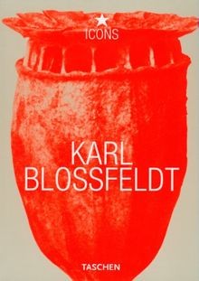 Icons karl blossfeldt - icons,, 1865