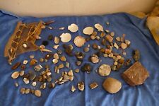 Steine, Mineralien, Fossilien, Muscheln, Basteln, Deko, Vintage, ansehen