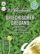 Griechischer Oregano Mehrjährig, beliebtes Pizzagewürz, robust,  Samen 02330