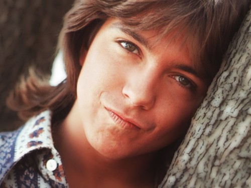 David cassidy konvolut - david,