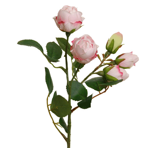 Künstlicher rosenzweig rosa - rosenzweig,