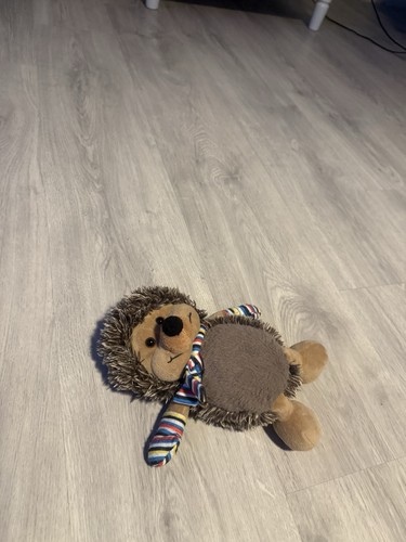 Kinder plüschtier igel - plüschtier,