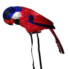 großer Papagei mit echten