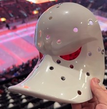 Anaheim ducks nhl hockey - nhl,