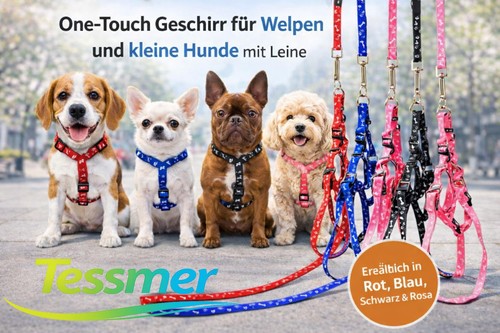Nylon hundegeschirr und - hundegeschirr,