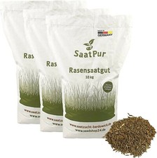 Sportrasen Grassamen Rasen